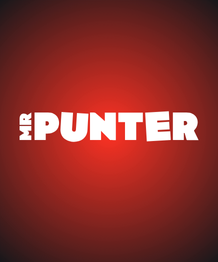 MrPunter hero logo